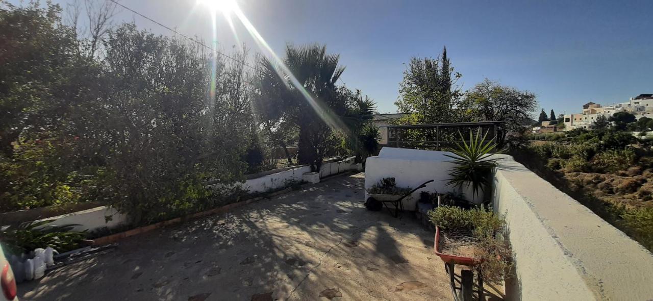 Cortijo Ferre, A Los Pies Del Castillo La Atalaya De Níjar エクステリア 写真