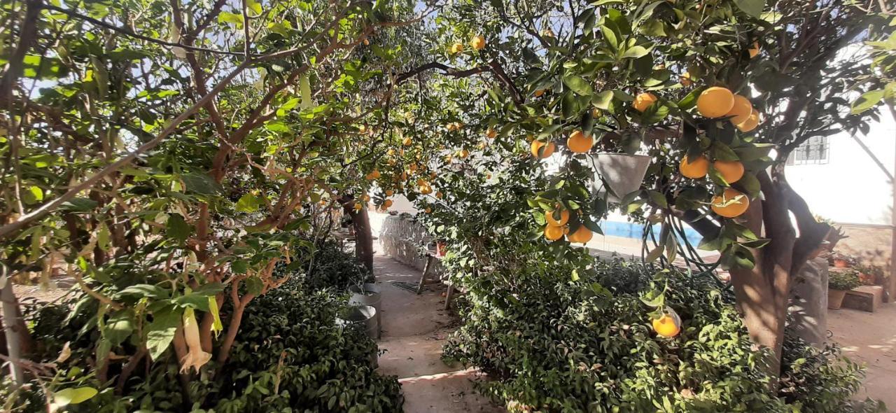 Cortijo Ferre, A Los Pies Del Castillo La Atalaya De Níjar エクステリア 写真