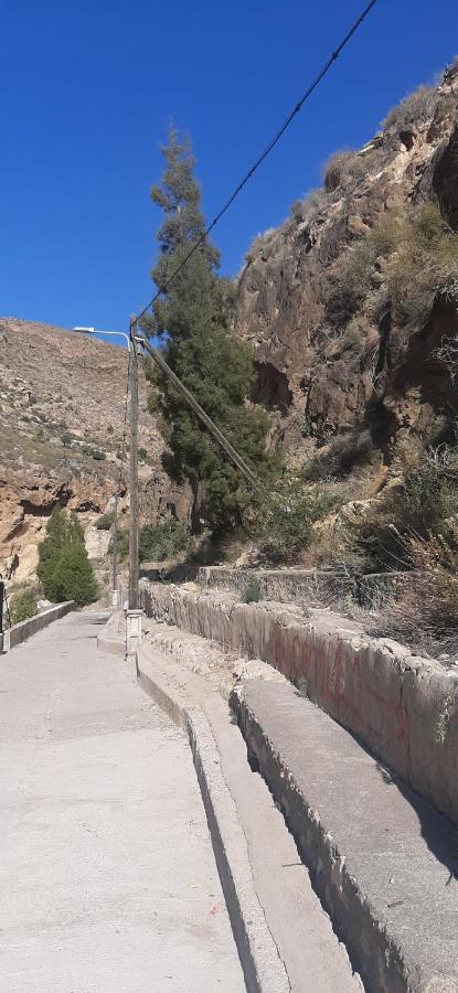 Cortijo Ferre, A Los Pies Del Castillo La Atalaya De Níjar エクステリア 写真