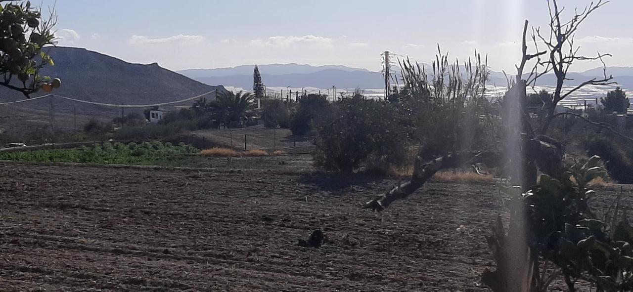 Cortijo Ferre, A Los Pies Del Castillo La Atalaya De Níjar エクステリア 写真