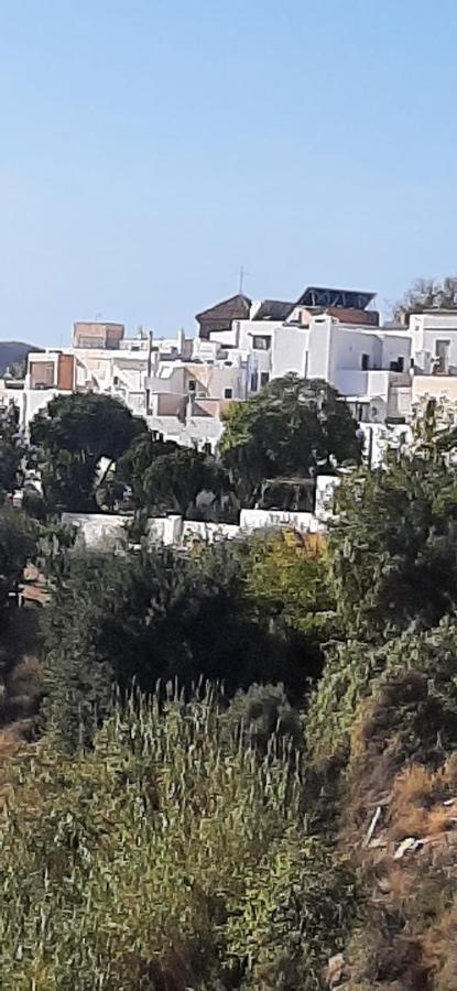 Cortijo Ferre, A Los Pies Del Castillo La Atalaya De Níjar エクステリア 写真