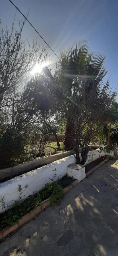 Cortijo Ferre, A Los Pies Del Castillo La Atalaya De Níjar エクステリア 写真