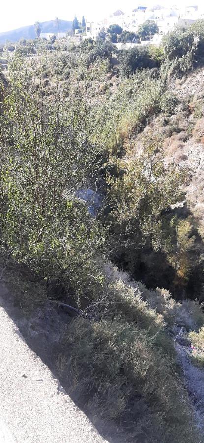 Cortijo Ferre, A Los Pies Del Castillo La Atalaya De Níjar エクステリア 写真