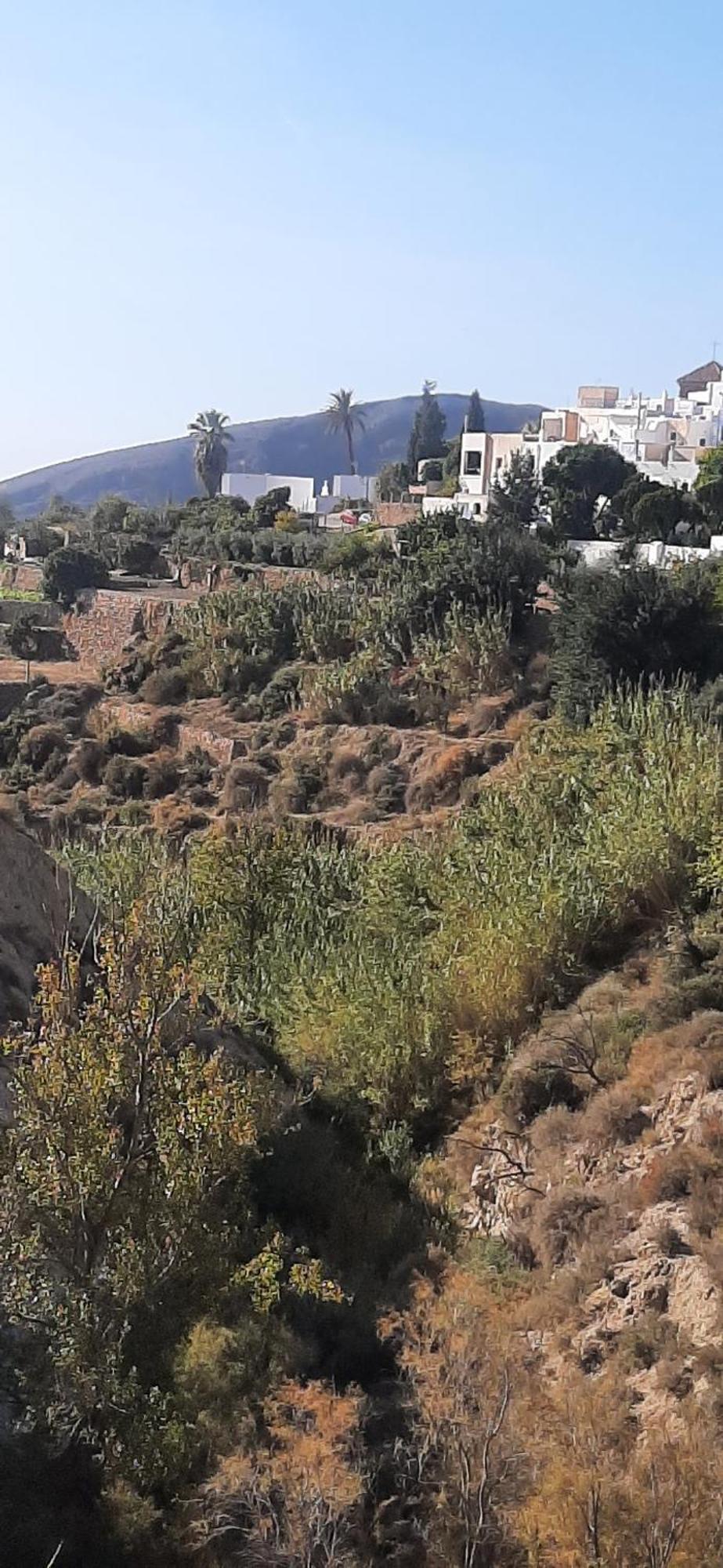 Cortijo Ferre, A Los Pies Del Castillo La Atalaya De Níjar エクステリア 写真